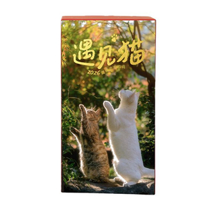 加赠冰箱贴2026年遇见猫日历桌面摆件台历文艺摆台猫咪治愈力摆件