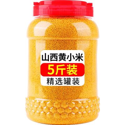 2025年新黄小米农家煮粥健康主食小黄米熬米油粘糯香小米五谷杂粮