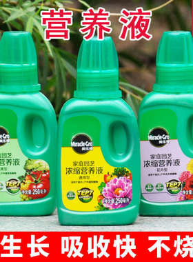 植物绿色蔬菜水培植物营养液四季通用盆栽花卉绿植通用富贵竹肥料