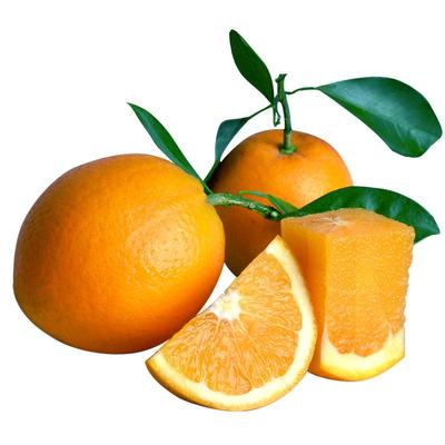 信丰巧巧赣南脐橙果园直销