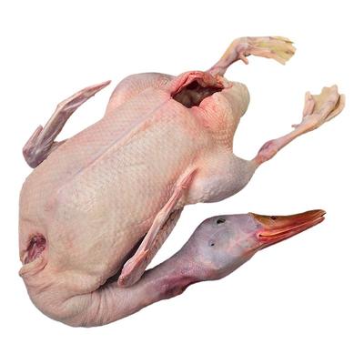 广西正宗农家散养青头鸭土鸭