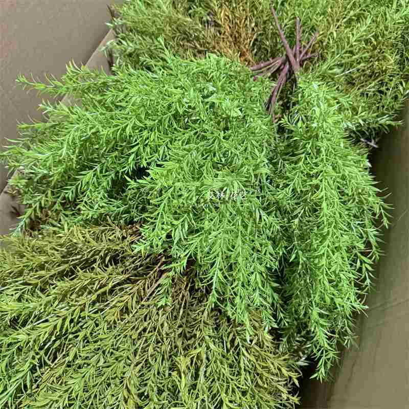 打底把束千层金  塑料水草绿植仿真花绿植森系婚礼堂千层草熊猫竹