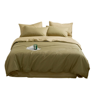 秋冬季100s磨毛床单单件床笠单品全棉纯棉1.5/1.8m床罩床上用品