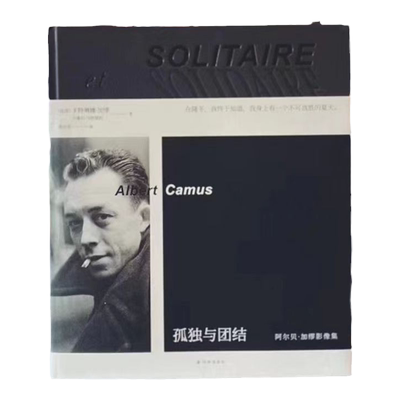 孤独与团结豆瓣高评分人物传记