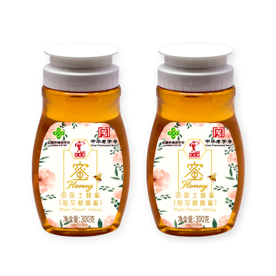 中华挤压式蜂蜜百花蜜宝生园