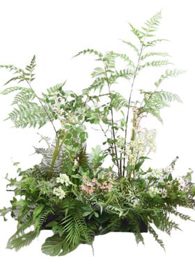 仿真蕨类植物高颜值树木