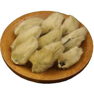 【经方集】辛夷花中药材打辛夷粉香料野生辛夷花包100/250g/500克