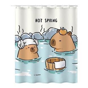 2025新款加厚垂坠防水浴帘一起洗澡卫生间隔断卧室不透光厕所防霉