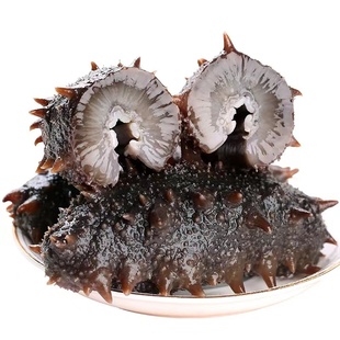 网潮 蒸食海参即食大连淡干刺参野生辽参海生干货独立单支装礼盒