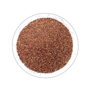 野生菟丝子泡水中药材内蒙滋补搭巴戟天杜仲五味子食用泡酒散装