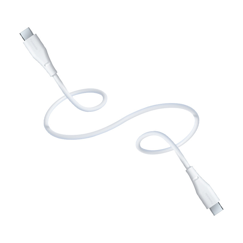 Panasonic ���� ˫Type-C������ 1m 100W E-markоƬ