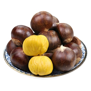 板栗生新鲜栗子10斤毛栗子丹东野迁油锥栗生小嫩大西板栗罗田批发