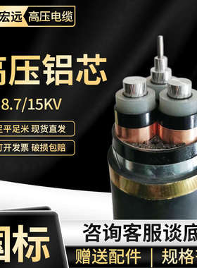国标10KV高压铝芯铠装电缆线YJLV22 3芯50 70 95 150 240 300平方