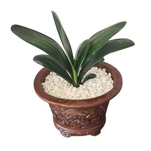 白石子白色小石头雨花石鹅卵石石头花盆栽天然小石头多肉铺面装饰