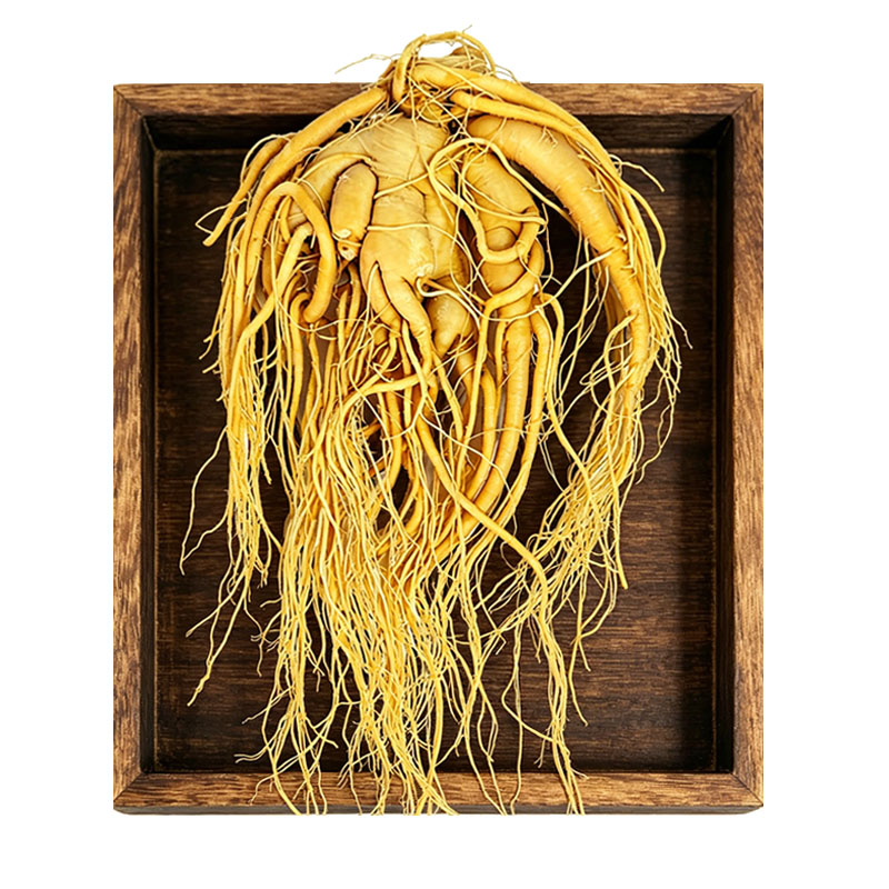 长白山人参煲汤泡酒药材佳品