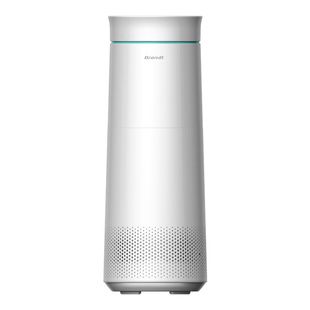 Brandt白朗无雾加湿器家用静音母婴卧室空气净化抑菌一体大加湿量