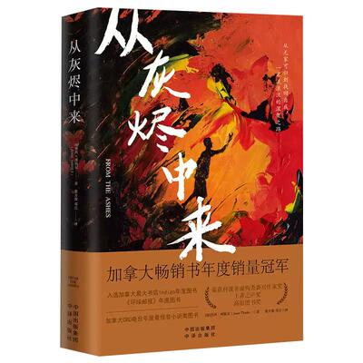 从灰烬中来一名流浪汉的涅槃之路