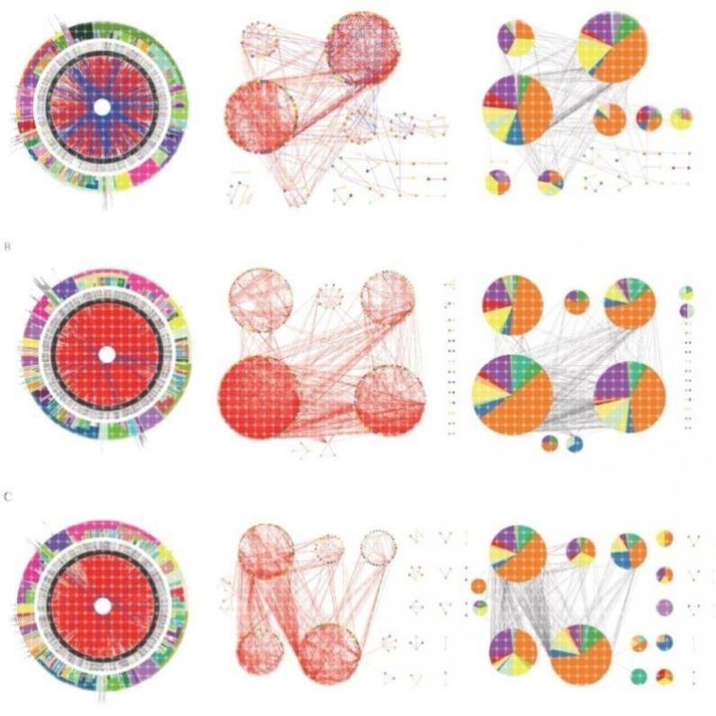 微生物共现网络分析,R语言做图,AI