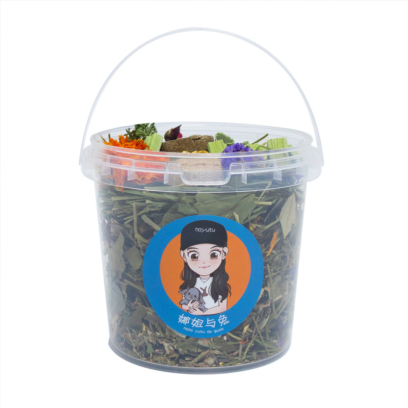兔子花草桶养生草荷兰猪豚鼠