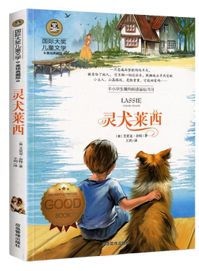国际大奖儿童文学名著获奖小说
