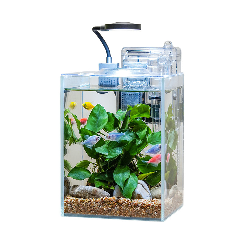 桌面生态水景缸经典款含水草造景桌面缸