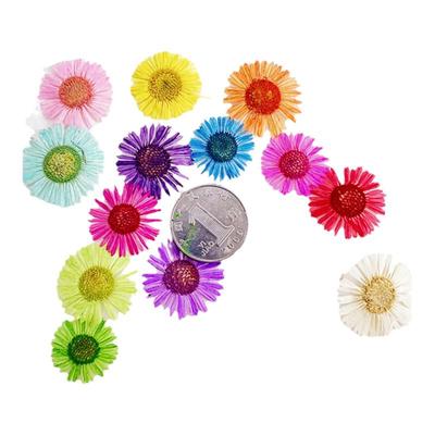 小飞滴胶diy植物标本干花