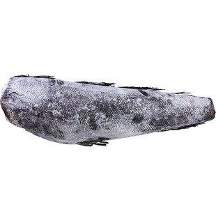 法国银鳕鱼整条南极犬牙鱼中段深海鲜鳕鱼婴儿宝宝儿童辅食银雪鱼