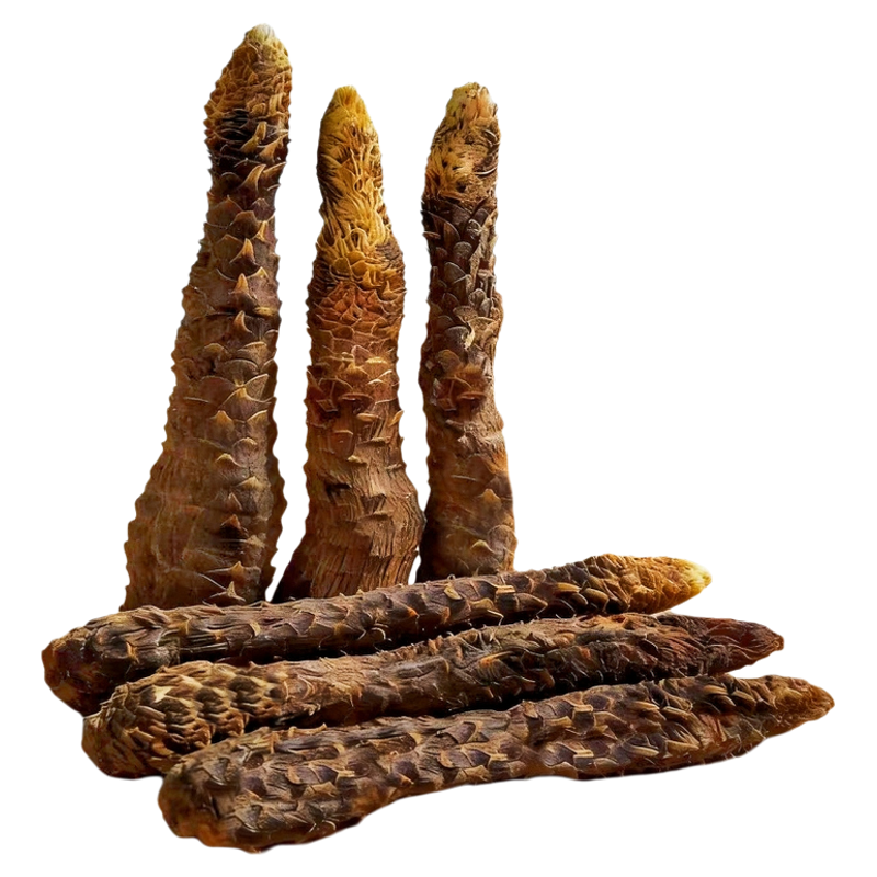肉苁蓉沙漠人参新疆大芸泡酒泡茶