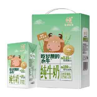认养纯牛奶吃甘蔗的水牛奶125ml*18盒儿童奶4.2g优质蛋白全脂