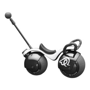 EarlyRider儿童摇摆车高档童车骑行平衡车溜溜车带推把学步扭扭车