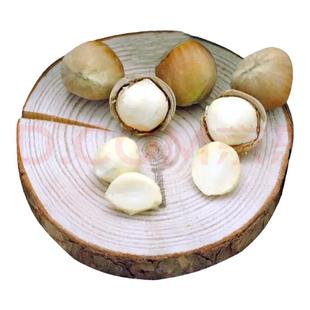 2025年东北新鲜水瓤水仁大榛子桓仁带绿皮榛子脱皮榛子现摘5斤