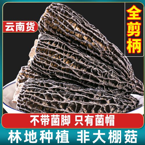 云南头茬羊肚菌新货高海拔林地露天种植蘑菇菌干货煲汤50g-250g