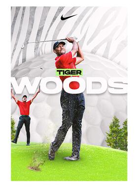 老虎泰格伍兹GOLF高尔夫球装饰画