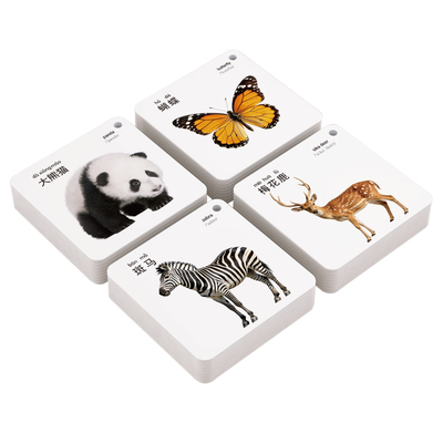 撕不烂的早教卡【天猫超级单品】