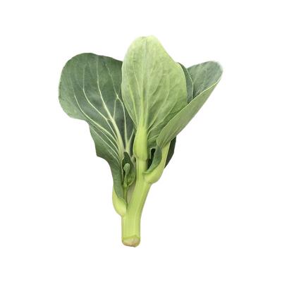 【顺丰包邮】苏北霜冻青菜苔