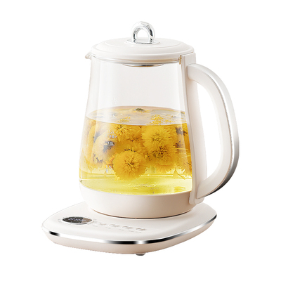 日本SDRNKA养生壶炖煮一体办公室煮茶器玻璃恒温热水壶家用烧水壶