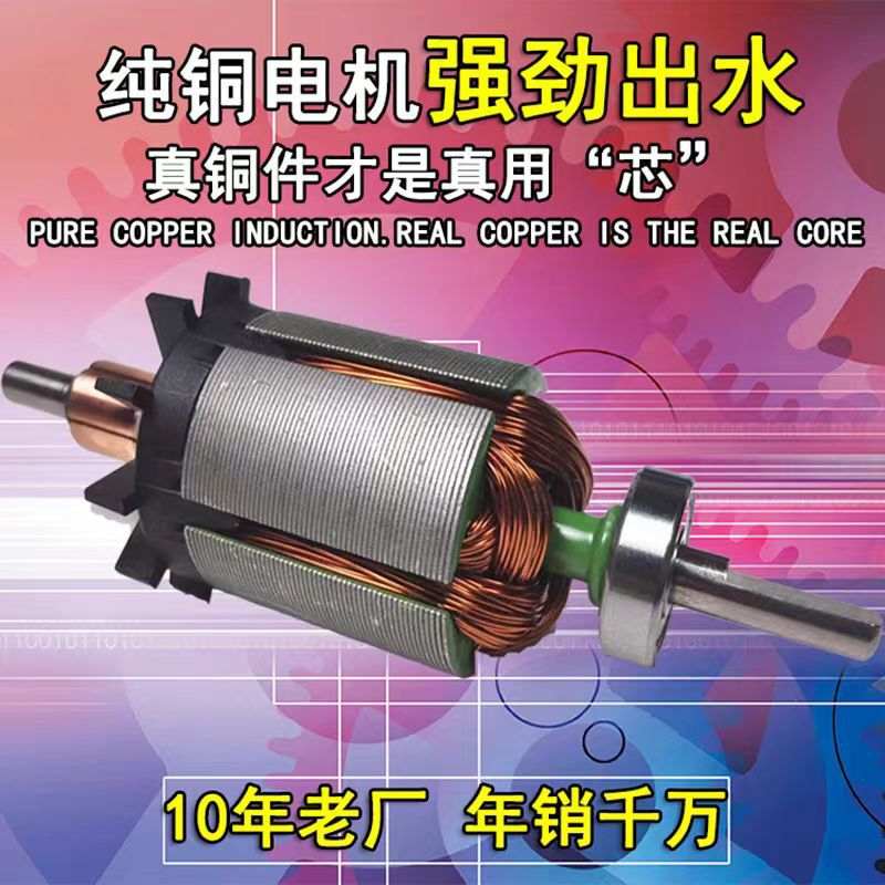 电动喷雾器双泵高压果树浇泵浇花双双核打药泵抽水泵菜园智能水泵