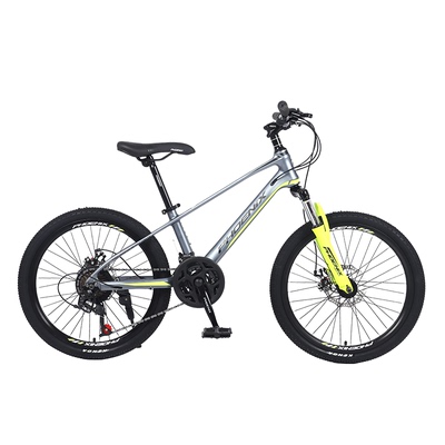 凤凰儿童自行车镁合车超轻