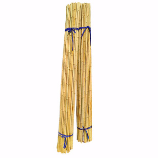 防腐竹竿竹子装饰装修隔断吊顶庭院竹篱笆栅栏围栏墙面黄竹杆竹棍