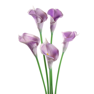 仿真花PU马蹄莲假花装饰客厅餐桌插花摆件干花永生花花艺摆设道具