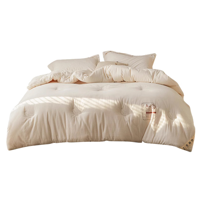 全棉原棉大豆被子秋冬季保暖被芯