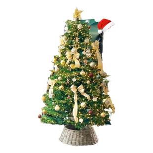 圣诞树真树客厅盆栽挪威云杉树苗诺贝松树圣诞节绿植家用装饰摆件