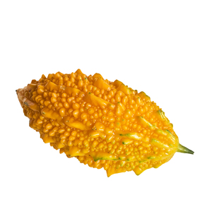 水果小癞瓜种子金铃子赖葡萄赖瓜水果种籽四季阳台爬藤蔬菜种孑苗