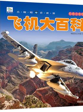 飞机大百科注音版中国儿童军事百科全书小眼看世界小学生武器科普绘本战斗机无人机交通工具书籍5-10岁一二三年级课外阅读科普图YJ