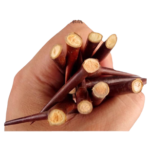 皂角刺的功效与作用中药材新鲜皂荚刺照果刺非野生天丁皂角树针汤