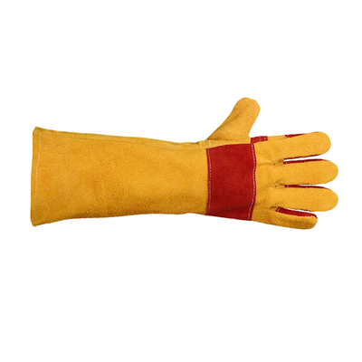 鹦鹉防抓防咬手套训狗防咬伤灵活抓猫加长厚款耐磨耐撕咬宠物专用