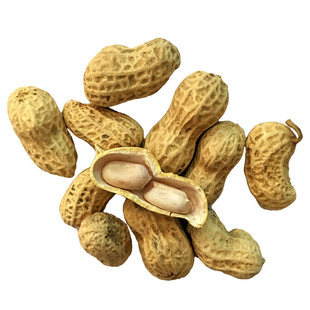 连平忠信花生河源特产零食蒜香水煮白晒坚果袋装花生仁带壳原味