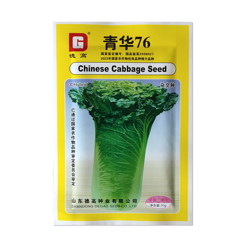 德高青华76白菜种子直筒青麻叶