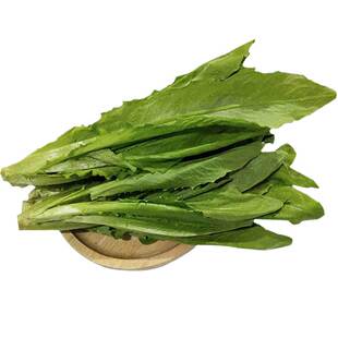 油麦菜种子菜籽阳台种菜盆栽种植春夏秋冬四季播种易种孑蔬菜种籽