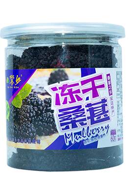 攀乡无添加盐边60g桑葚干